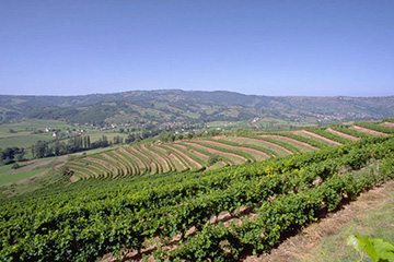 瓦利斯（WFWLS）港口代碼查詢-瓦利斯（WFWLS）港口簡介