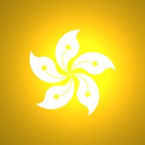 國(guó)內(nèi)到香港物流,大陸至香港貨運(yùn),廣州物流到香港