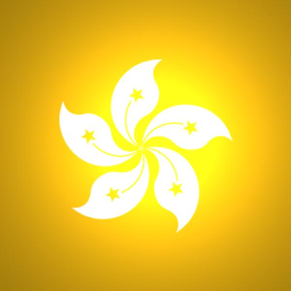 國(guó)內(nèi)到香港物流,大陸至香港貨運(yùn),廣州物流到香港