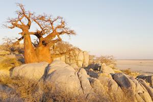 洛巴策機(jī)場三字代碼(LOQ)_Lobatse