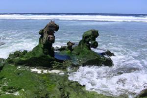 納威利威利（USNAW）港口代碼查詢-納威利威利（USNAW）港口簡(jiǎn)介