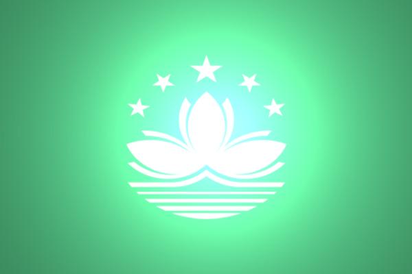國內到澳門物流,國內至澳門貨運,國內物流到澳門