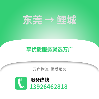 東莞到鯉城物流專線_東莞到鯉城貨運專線公司